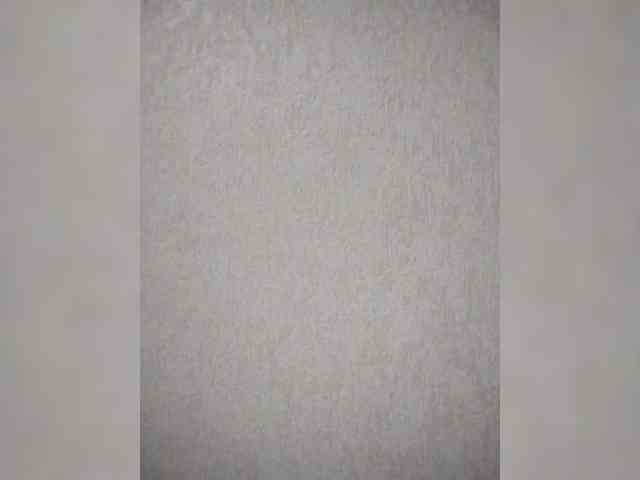 BabyCatty webcam