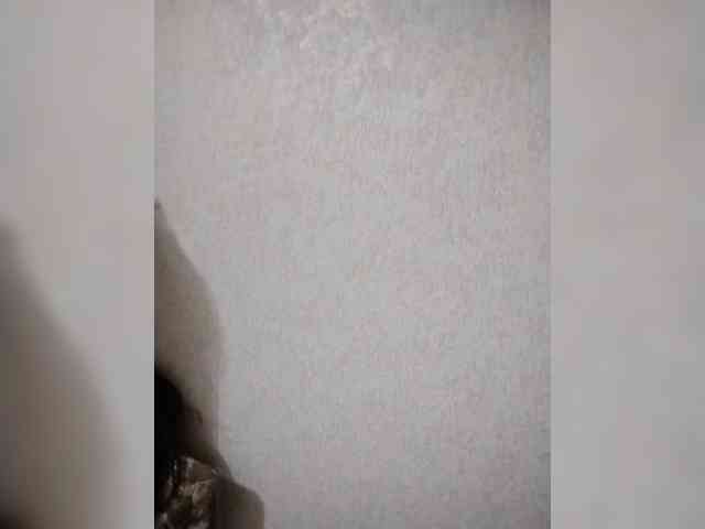 BabyCatty webcam