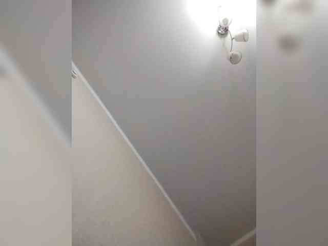 BabyCatty webcam
