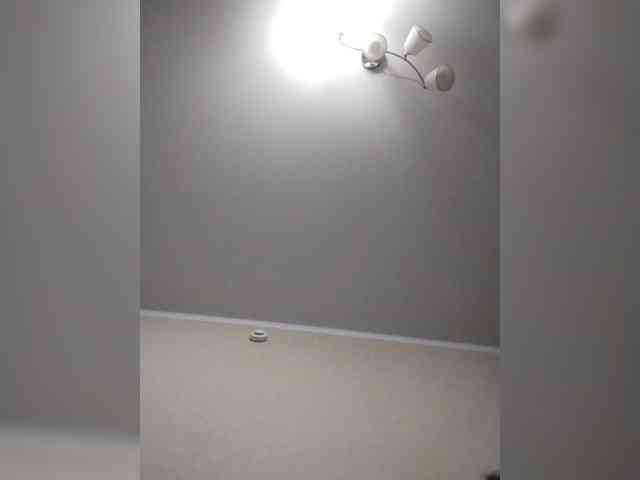 BabyCatty webcam
