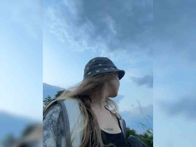 altertyan webcam