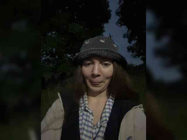 altertyan webcam