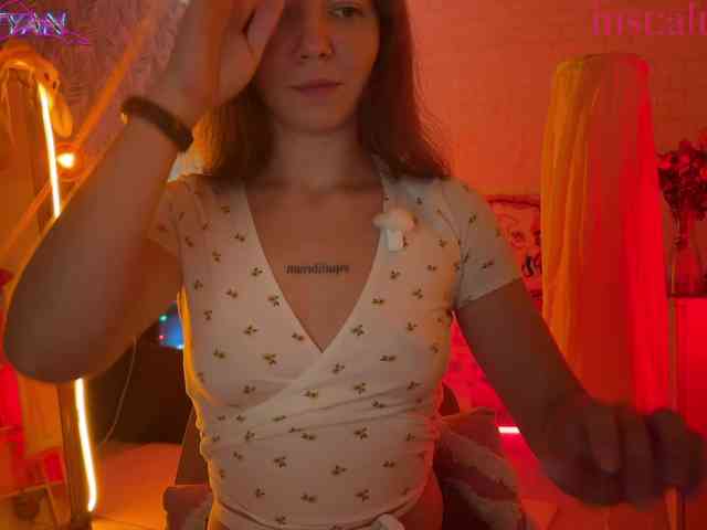 altertyan webcam