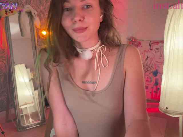 altertyan webcam