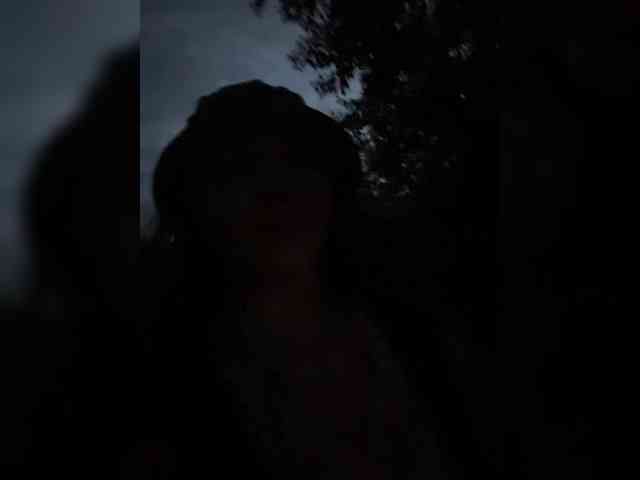 altertyan webcam