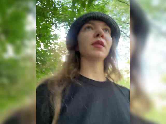 altertyan webcam
