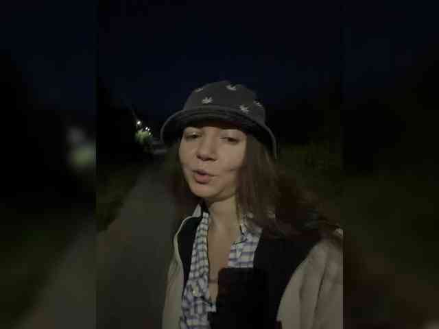 altertyan webcam