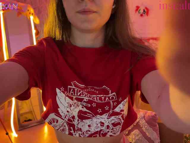 altertyan webcam