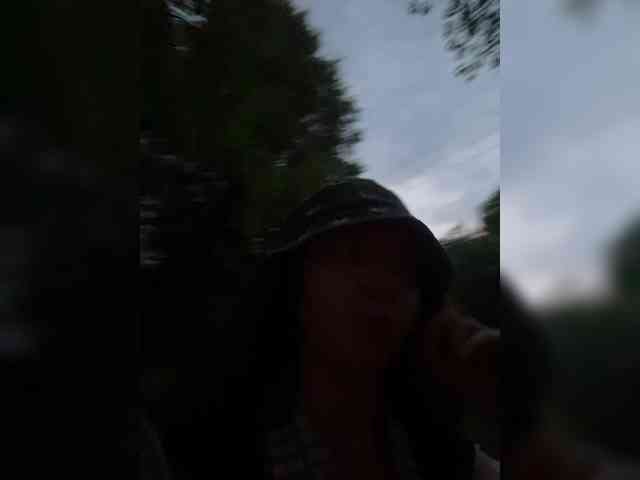altertyan webcam