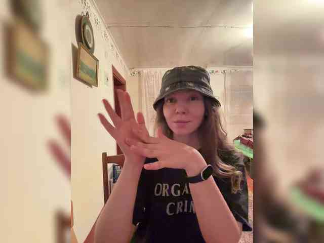 altertyan webcam