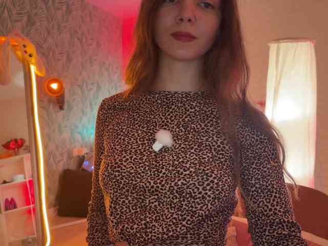 altertyan webcam