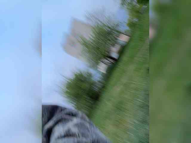altertyan webcam
