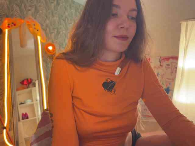 altertyan webcam