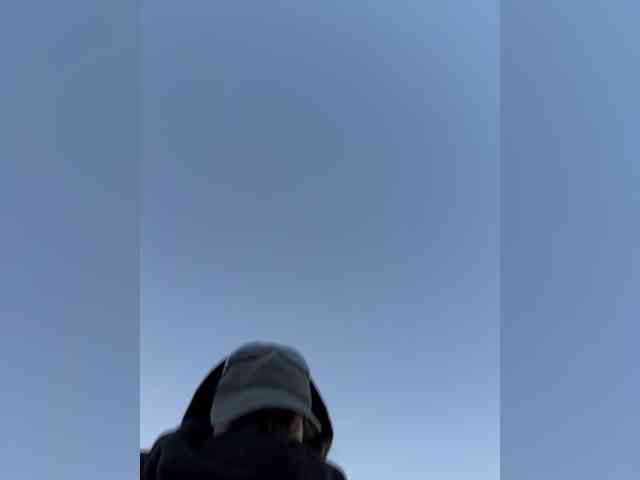 altertyan webcam