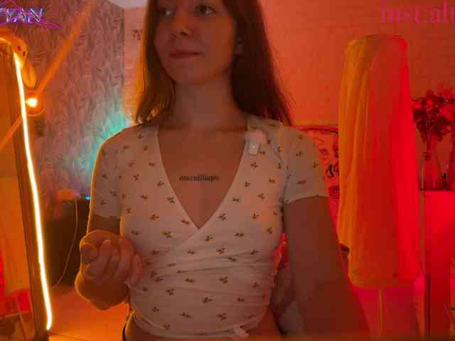 altertyan webcam