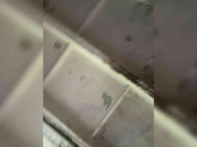 altertyan webcam