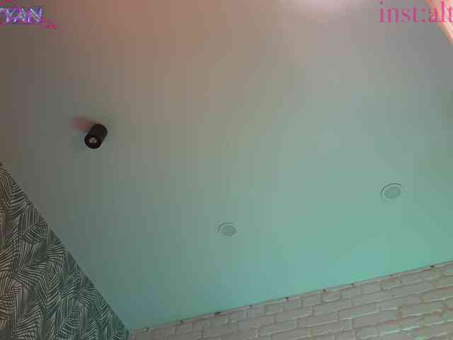 altertyan webcam
