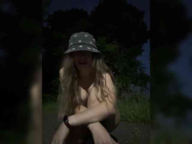 altertyan webcam