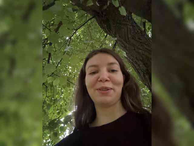 altertyan webcam