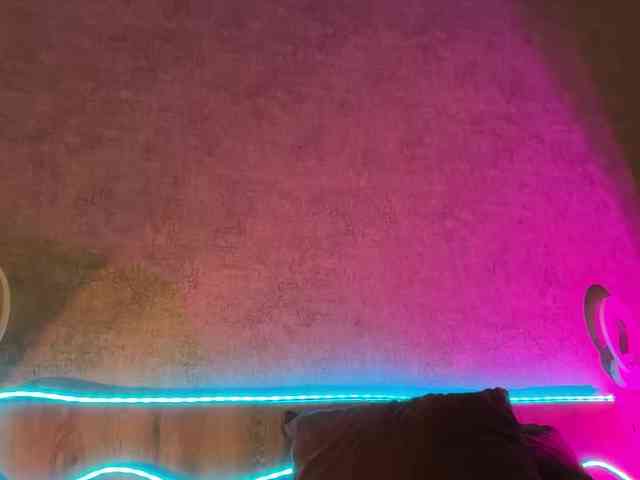 Tvoy_Medvezhenok webcam