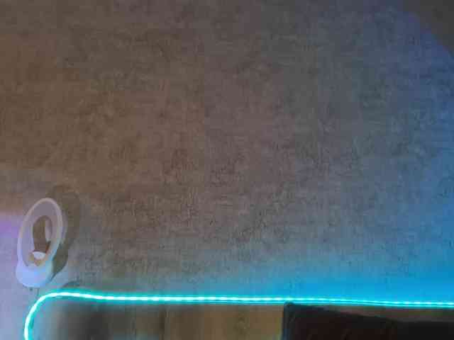 Tvoy_Medvezhenok webcam