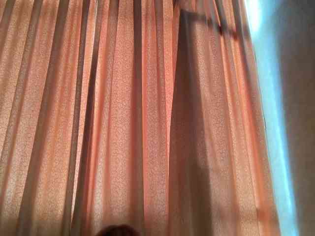 Tvoy_Medvezhenok webcam