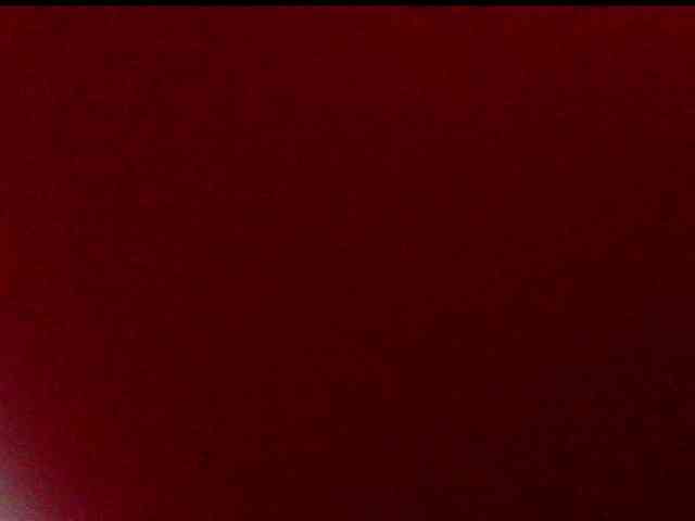 frau-martha webcam