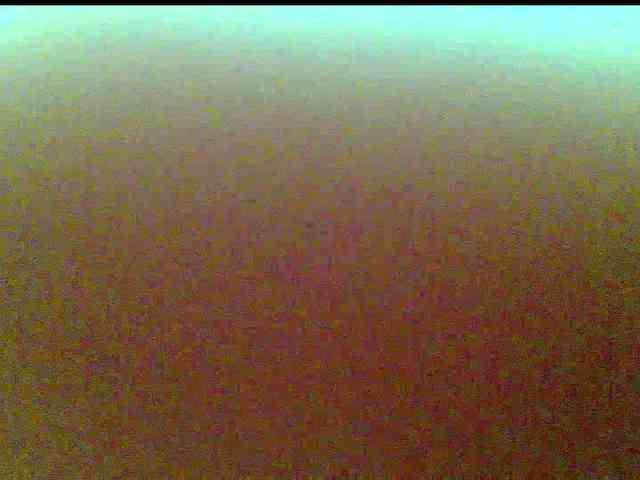 frau-martha webcam