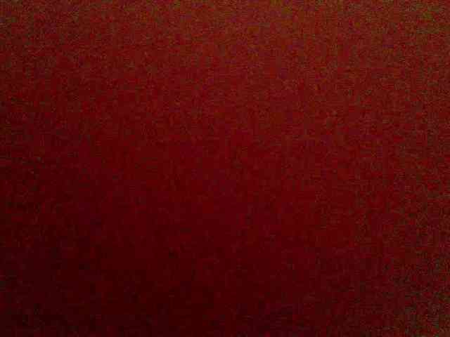 frau-martha webcam