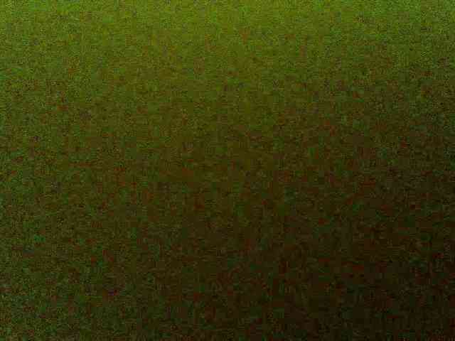 frau-martha webcam