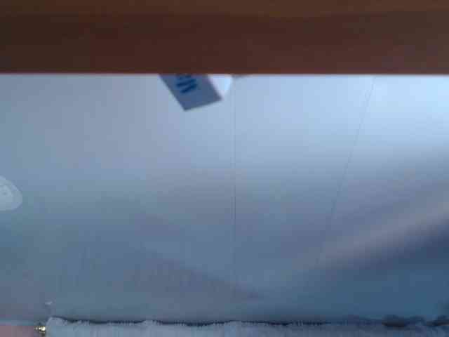 AliceBraga webcam