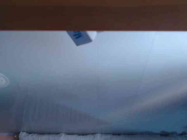 AliceBraga webcam