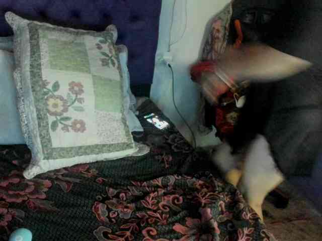 MargothClain webcam