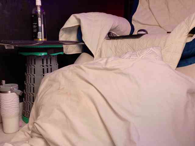 Katiehill webcam