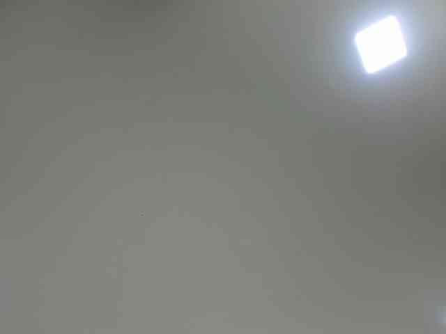 EllaThorne webcam