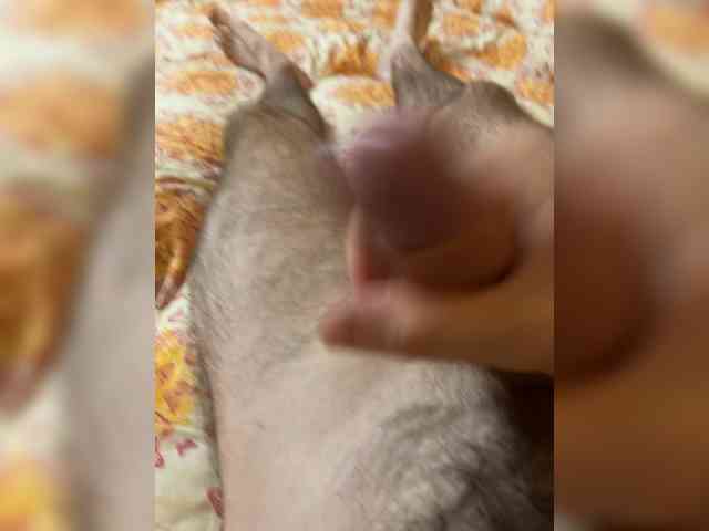 DiSex18