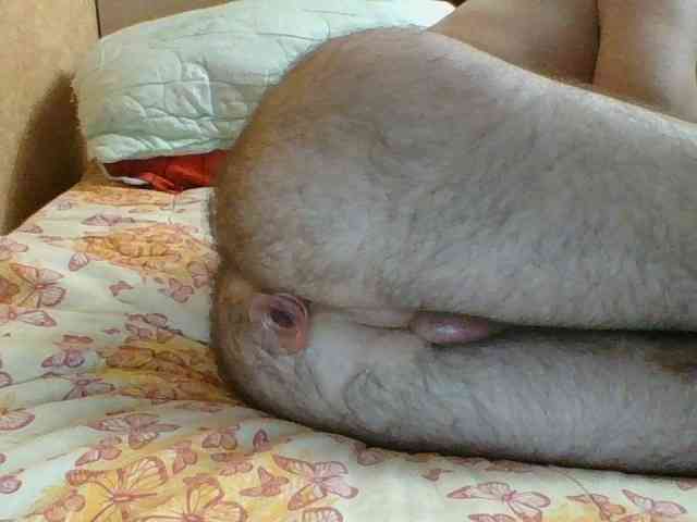 DiSex18