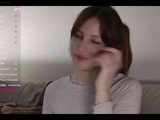 INsight webcam