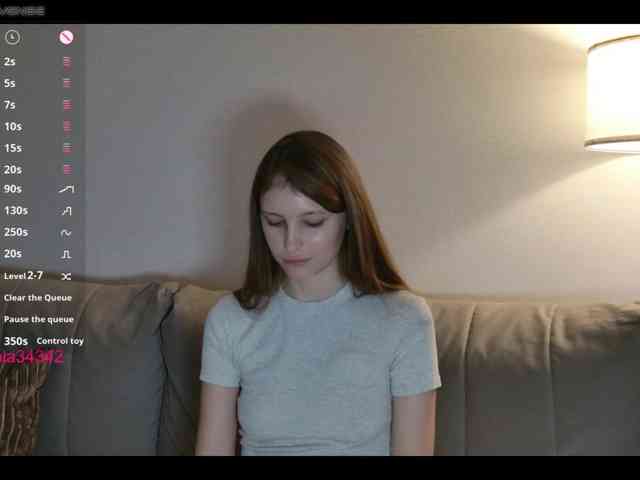 INsight webcam