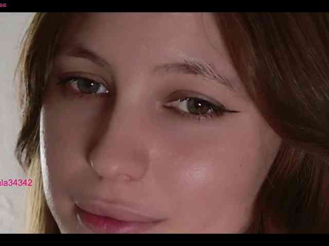 INsight webcam
