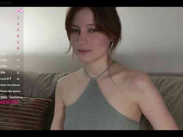 INsight webcam