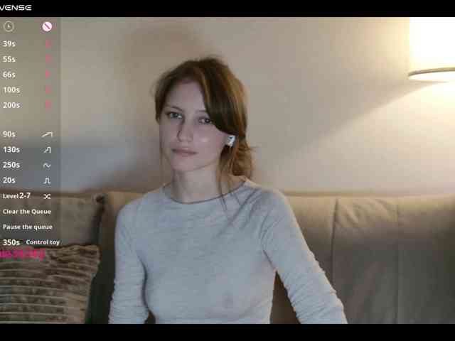 INsight webcam