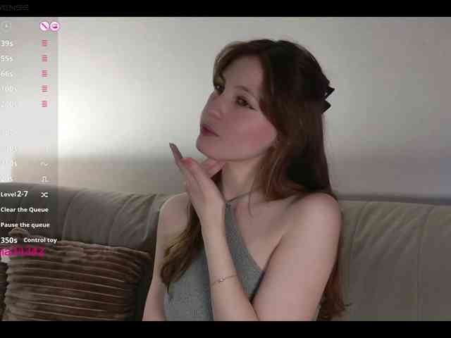 INsight webcam
