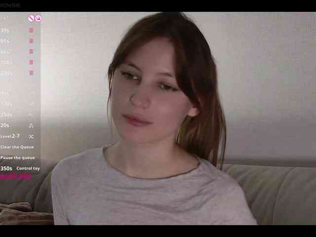 INsight webcam