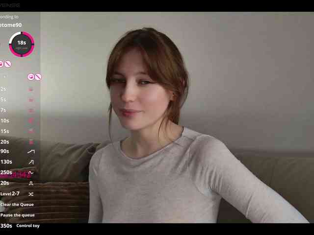 INsight webcam