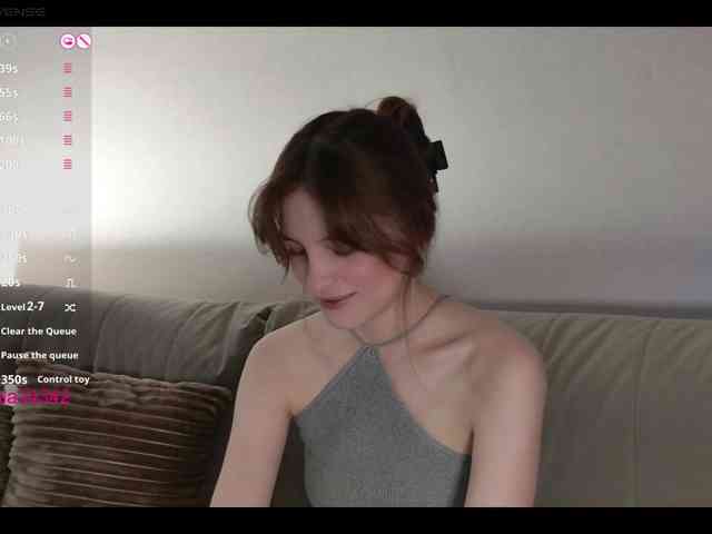 INsight webcam