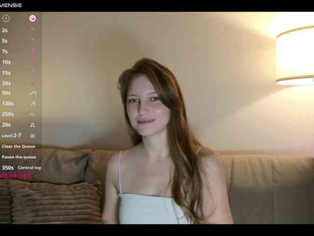 INsight webcam