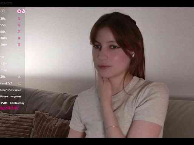 INsight webcam