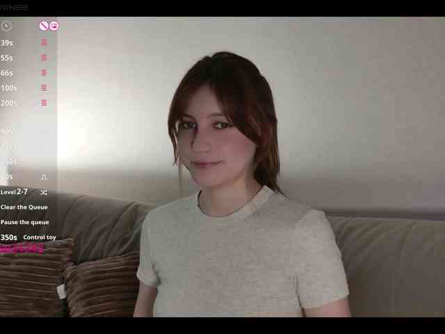 INsight webcam
