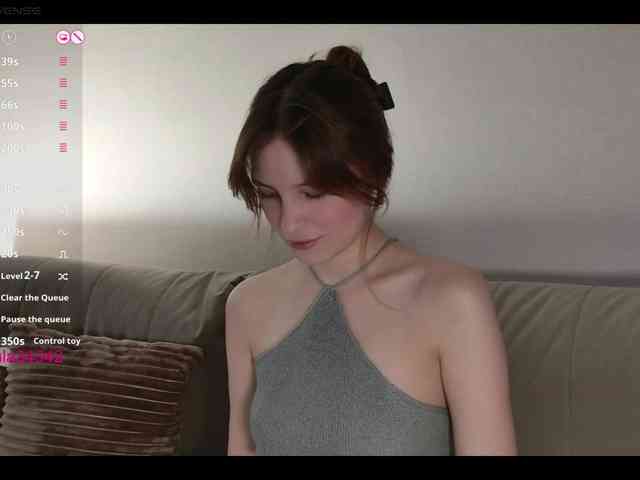 INsight webcam